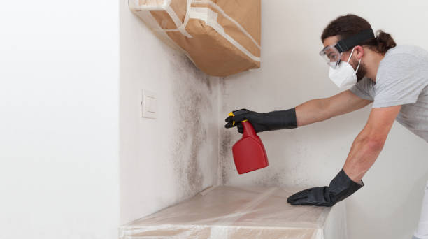 Professional Attic Mold Remediation technician working in Eatontown, NJ
