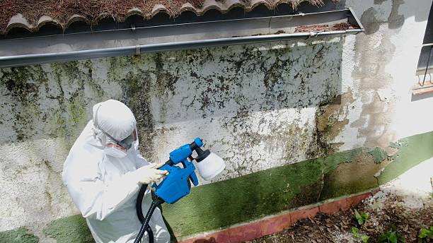 Top rated local Attic Mold Remediation specialists in Eatontown, NJ